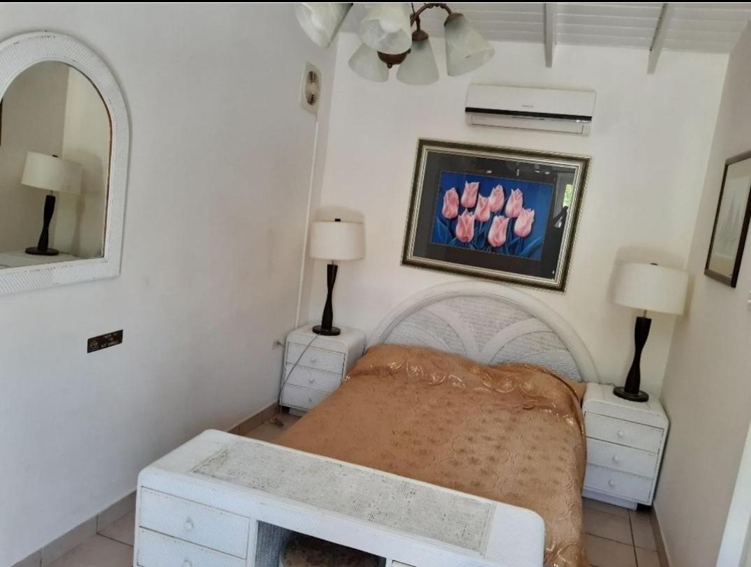 Harmony Hotel Hostel Aruba Tanki Leendert Exteriör bild